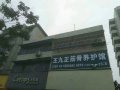 项城市王九正旗舰店