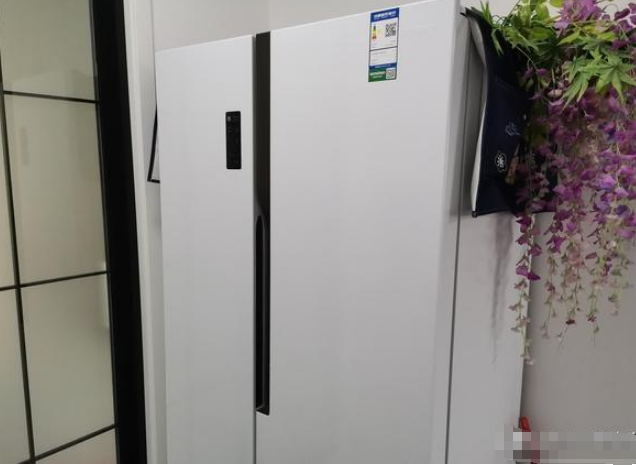 家用怎样选购性价比高的冰箱？