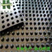 肇庆种植车库蓄排水板|汕尾2公分滤水板厂家