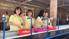 广州白云亲子游学校拓展团建班级活动的农家乐