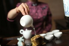 三亚茶艺师培训报考职业技能资格证机构