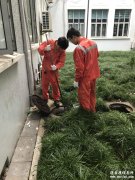 上海市南汇区周浦专业油烟机清洗管道疏通化粪池清理