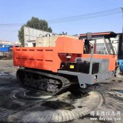 内蒙古大型履带运输车 履带运输车