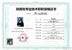 特别的2020陕西省西安市工程师职称评定申报条件