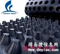 HDPE塑料排水板东营块状排水板