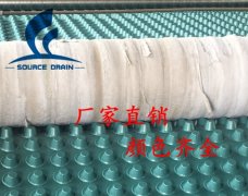 潍坊楼顶花园隔根刺排水板绿色阻根排水板