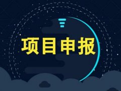 安徽省阜阳市消费品工业”三品“申报条件和申报奖补政策