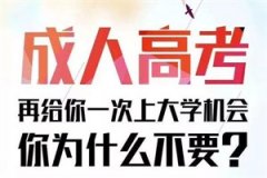 2020年山西大学函授本科报名时间