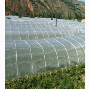 厂家供应蔬菜大棚防虫网40-60目用于蔬菜通风效果好