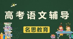 高中语文名思老师一对一针对性辅导