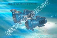 供应PF65-50-160380V胃炎干糖浆化工泵