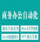 布吉零基础学电脑 办公软件 表格制作 打字 全套教学