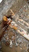 花都埋地暗管漏水检测、雨污管道录像检测维修