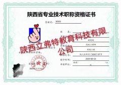 关于2021年高级工程师职称换专业的问题