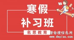 寒假找辅导来名思教育