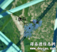 办理浙江温州公司普通公司升级成为国家局公司