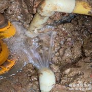 供水管漏水检测、管网探漏、消防水管查漏