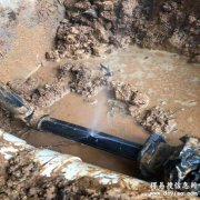 佛山专业检测供水管网漏损、小区绿化管漏水检测