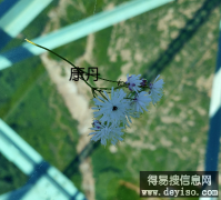 新办理不良资产处置公司需要什么材料大概需要多少费用