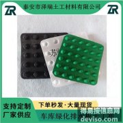 北京14高分子防护排蓄异形片-复合排水板