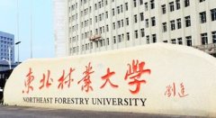 东北林业大学自考专/本科艺术设计专业一年半能毕业吗