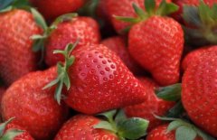 深圳草莓官方网站——新鲜美味草莓带回家！