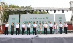 【汤阴北艾】——2020艾草文化节！九头仙艾传递“艾”！