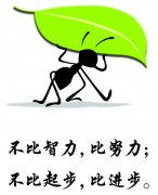 南通五年制专转本：决不能放弃，世界上没有失败，只有放弃