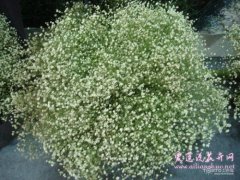 萧山瓜沥空调维修加氟空调移机清洗