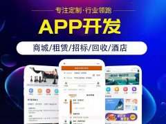 社交电商APP开发功能详解