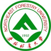 自考本科软件工程专业东北林业大学考试简单好拿学位
