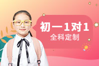 北京龙文教育初一1对1语数外定制课程