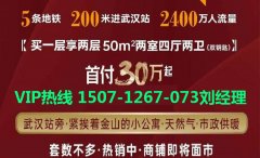 邻湖壹方：50-80平高铁洋房，总价60万起