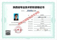 陕西职称评审个人申报与机构申报区别