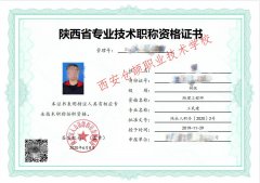 新版陕西省人才中心工程师职称评审文件申报办法