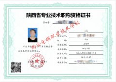 2021年陕西省颁布高级工程师申报新条件