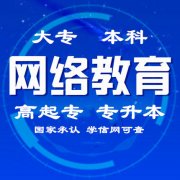 北京全程托管远程教育专升本石油大学网络教育本科招生