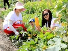 惠城可以公司拓展的果盛生态园