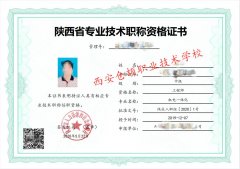 颁发机构对陕西省2021年职称工程师申报要求