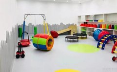 金色雨林视觉动作统合经典训练