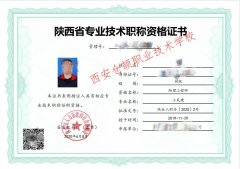 关于2021年陕西省工程师职称评定工作详情