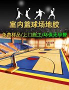 篮球场地胶室内篮球馆专用篮球地胶PVC塑胶定制运动地板地垫