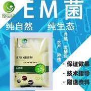 生物发酵床技术来养鸭真的能做到无臭味吗