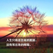 五年制专转本难度不容忽视报无锡博大考前集训班轻松上本科