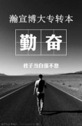 五年制专转本：本科学历重要吗，但社会很现实