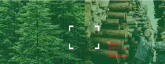 BEPI认证辅导|认证绩效等级三种情况