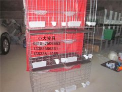 卖鸡笼鸽笼兔笼鹌鹑笼鹧鸪笼运输笼宠物笼猫笼狗笼鸟笼繁殖笼鸭笼