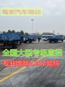 泉州晋江可报名B1中巴车A1大客车驾照VIP快班增驾