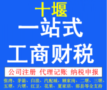 十堰注册分公司需要准备哪些资料