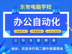 office电脑办公文档 数据图表处理 包教包会